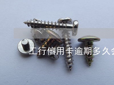 工行信用卡逾期多久会影响征信 工行信用卡逾期多久会影响征信