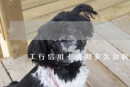 工行信用卡逾期多久会收到律师函 工行信用卡逾期多久会收到律师函