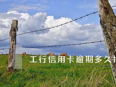 工行信用卡逾期多久拘留 工行信用卡逾期多久拘留