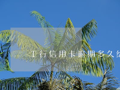 工行信用卡逾期多久给家人打电话