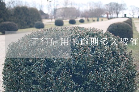 工行信用卡逾期多久被催收 工行信用卡逾期多久被催收