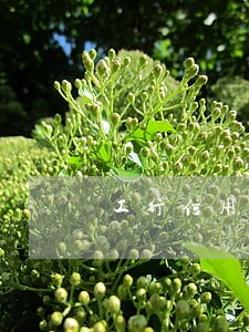 工行信用卡逾期多久解冻 工行信用卡逾期多久解冻