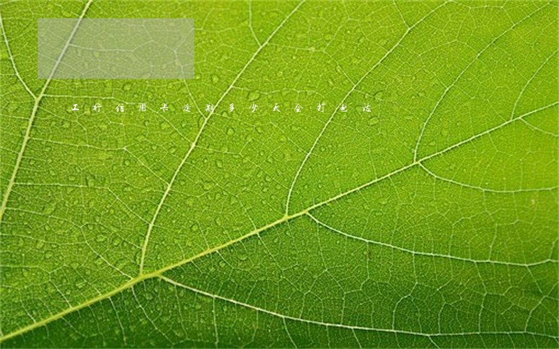 工行信用卡逾期多少天会打电话 工行信用卡逾期多少天会打电话