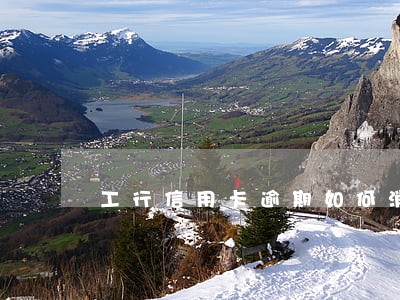 工行信用卡逾期如何消除