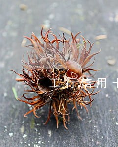 工行信用卡逾期委托方说上门 工行信用卡逾期委托方说上门