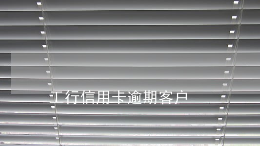 工行信用卡逾期客户 工行信用卡逾期客户