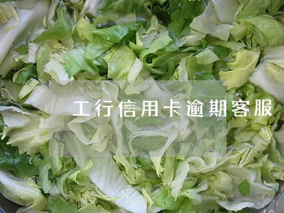 工行信用卡逾期客服 工行信用卡逾期客服