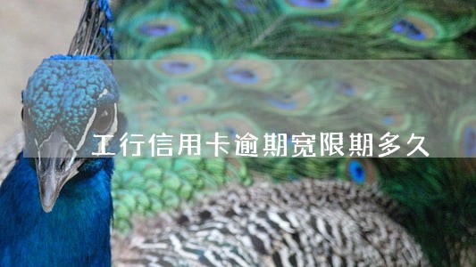 工行信用卡逾期宽限期多久 工行信用卡逾期宽限期多久