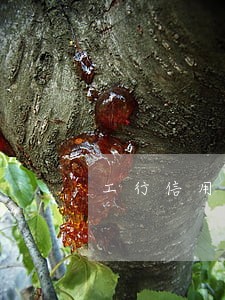 工行信用卡逾期年息 工行信用卡逾期年息