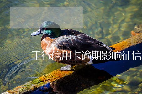 工行信用卡逾期影响征信吗