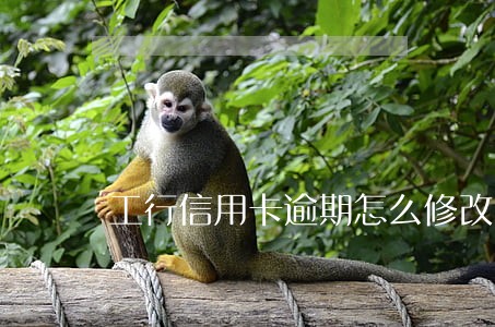 工行信用卡逾期怎么修改