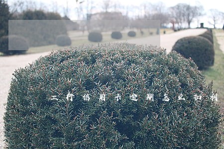 工行信用卡逾期怎么扣利息 工行信用卡逾期怎么扣利息