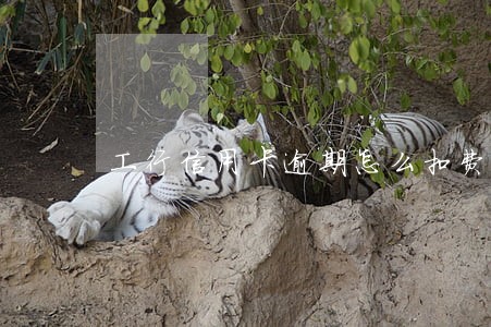 工行信用卡逾期怎么扣费 工行信用卡逾期怎么扣费