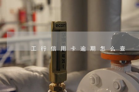 工行信用卡逾期怎么查 工行信用卡逾期怎么查