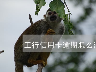 工行信用卡逾期怎么消除征信