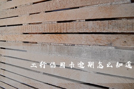 工行信用卡逾期怎么知道 工行信用卡逾期怎么知道