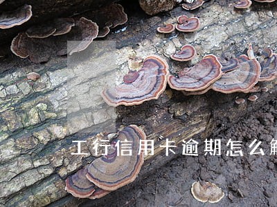 工行信用卡逾期怎么解冻