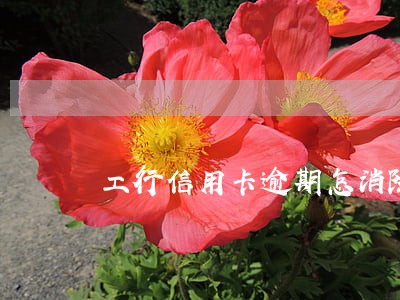 工行信用卡逾期怎消除 工行信用卡逾期怎消除