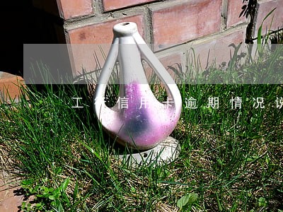 工行信用卡逾期情况说明模板 工行信用卡逾期情况说明模板