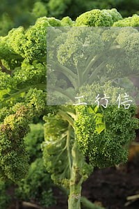 工行信用卡逾期扣储蓄 工行信用卡逾期扣储蓄