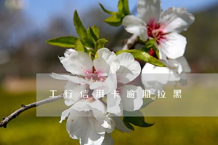 工行信用卡逾期拉黑 工行信用卡逾期拉黑