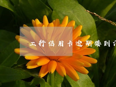工行信用卡逾期接到诈骗电话 工行信用卡逾期接到诈骗电话