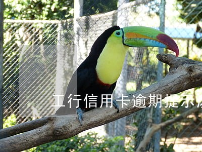工行信用卡逾期提示废卡 工行信用卡逾期提示废卡