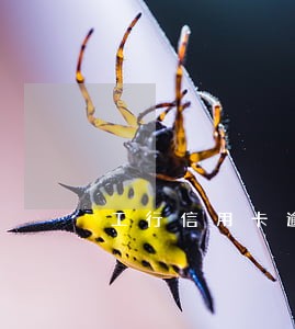 工行信用卡逾期提醒短信 工行信用卡逾期提醒短信