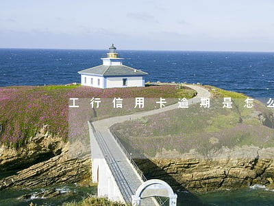工行信用卡逾期是怎么扣款的