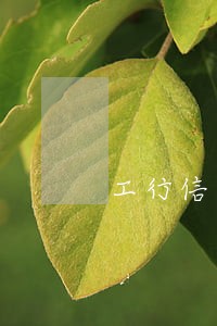 工行信用卡逾期暂停了能再开通吗 工行信用卡逾期暂停了能再开通吗