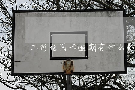 工行信用卡逾期有什么影响吗 工行信用卡逾期有什么影响吗