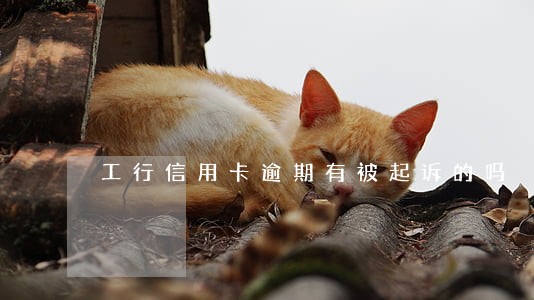 工行信用卡逾期有被起诉的吗 工行信用卡逾期有被起诉的吗