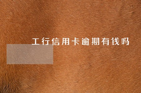 工行信用卡逾期有钱吗