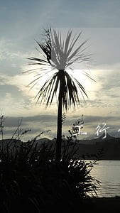 工行信用卡逾期未还 工行信用卡逾期未还
