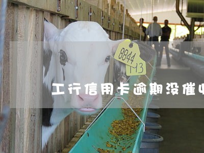 工行信用卡逾期没催收 工行信用卡逾期没催收