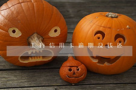 工行信用卡逾期没钱还 工行信用卡逾期没钱还