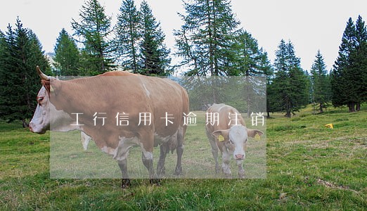 工行信用卡逾期注销