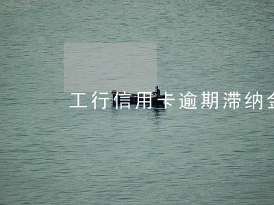 工行信用卡逾期滞纳金