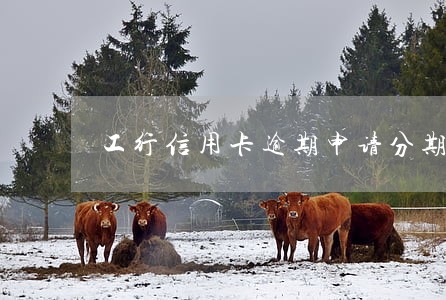 工行信用卡逾期申请分期还款