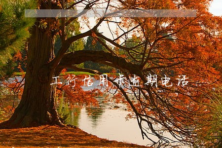 工行信用卡逾期电话 工行信用卡逾期电话