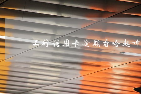工行信用卡逾期看啥起诉 工行信用卡逾期看啥起诉