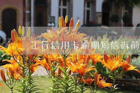 工行信用卡逾期短信诉前通知 工行信用卡逾期短信诉前通知