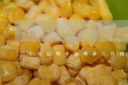 工行信用卡逾期第三方调查 工行信用卡逾期第三方调查