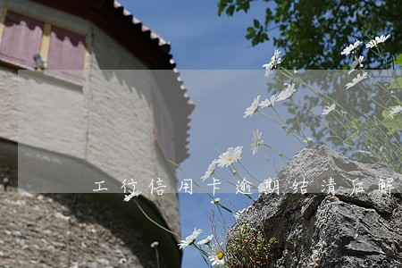 工行信用卡逾期结清后解冻