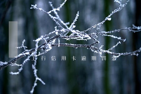 工行信用卡逾期罚金 工行信用卡逾期罚金