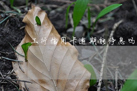 工行信用卡逾期能停息吗