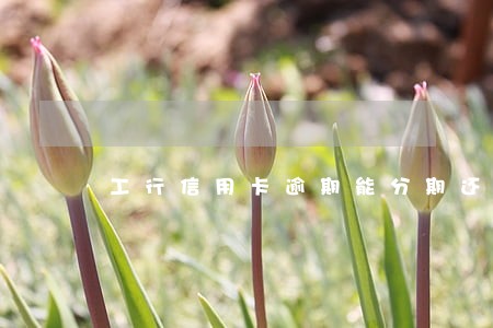 工行信用卡逾期能分期还款吗 工行信用卡逾期能分期还款吗