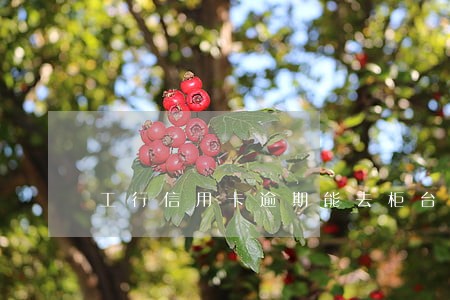 工行信用卡逾期能去柜台办业务吗 工行信用卡逾期能去柜台办业务吗