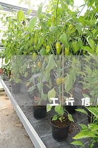 工行信用卡逾期能否协商解决 工行信用卡逾期能否协商解决