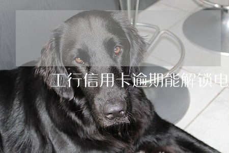 工行信用卡逾期能解锁电话卡吗 工行信用卡逾期能解锁电话卡吗
